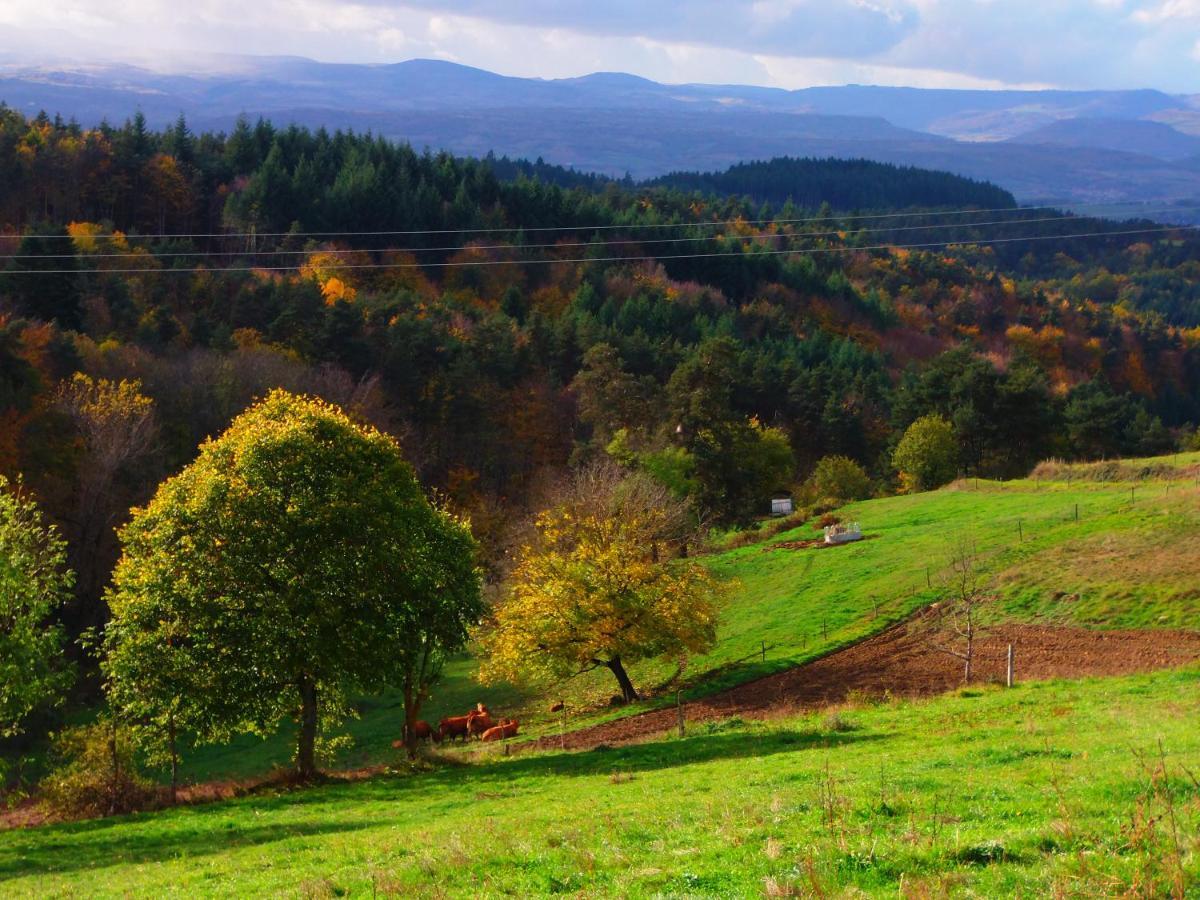 Le Vallon D'Armandine, Gite Ecologique Auvergne Saint-Hilaire  Exteriér fotografie