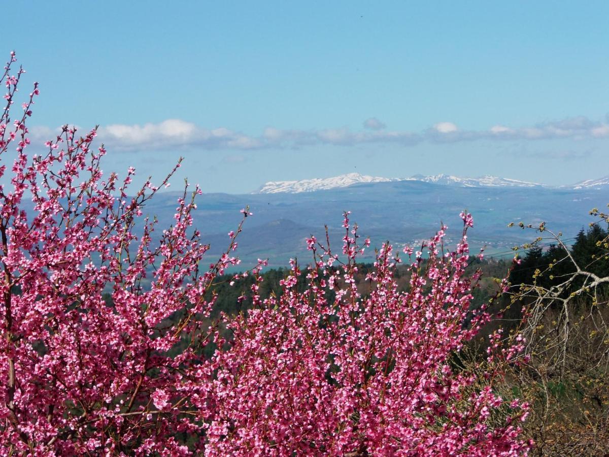 Le Vallon D'Armandine, Gite Ecologique Auvergne Saint-Hilaire  Exteriér fotografie