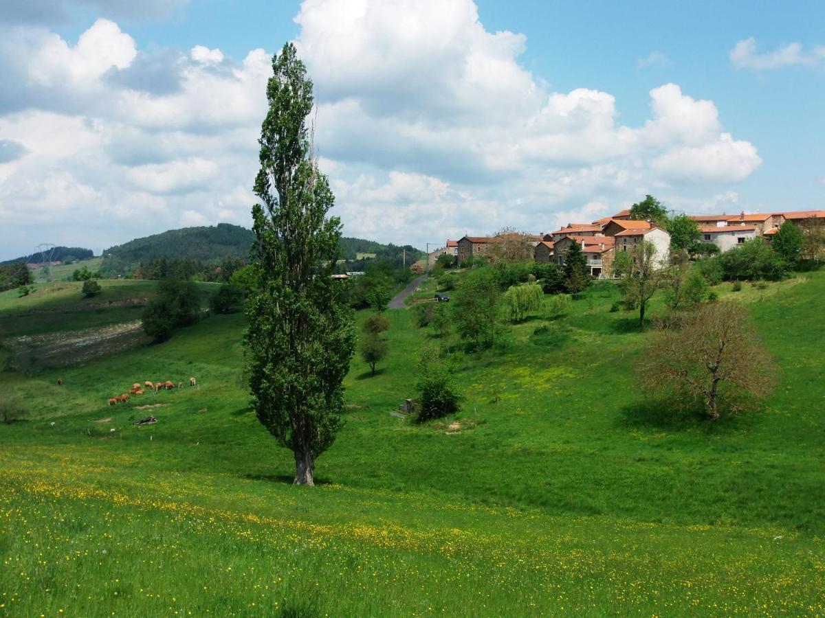 Le Vallon D'Armandine, Gite Ecologique Auvergne Saint-Hilaire  Exteriér fotografie